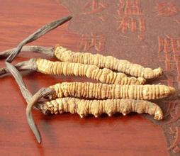龙岗虫草回收价格跟什么有关