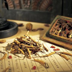 坪山回收冬虫夏草一根价格