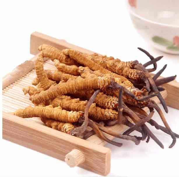 罗湖回收冬虫夏草近期价格资讯