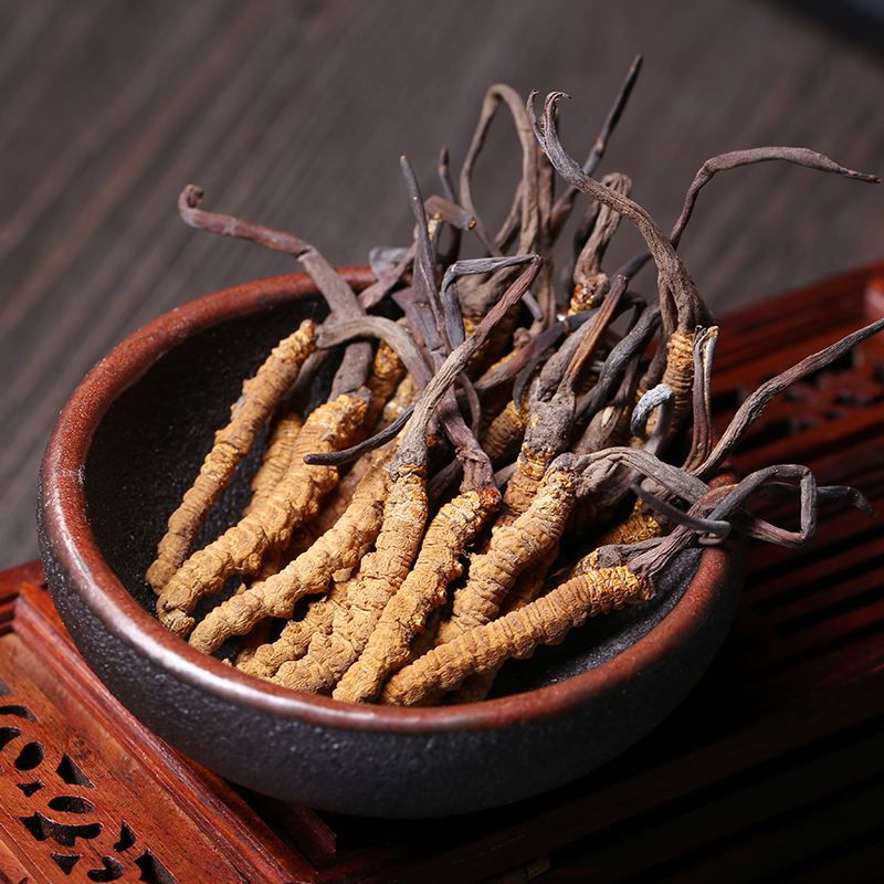 如何确定深圳回收冬虫夏草具体价格