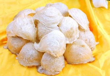 龙岗燕窝回收