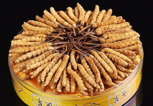 龙华礼盒装冬虫夏草回收/一袋虫草回收价格多少钱