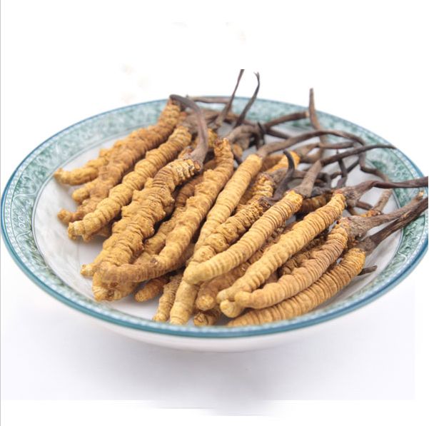 龙华虫草回收市场价格一览表