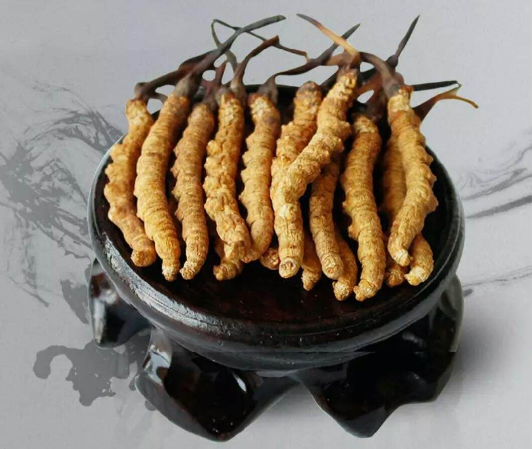 宝安燕罗回收冬虫夏草（礼盒装）虫草24小时上门回收
