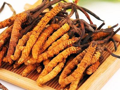 宝安石岩回收冬虫夏草（礼盒装）虫草24小时上门回收