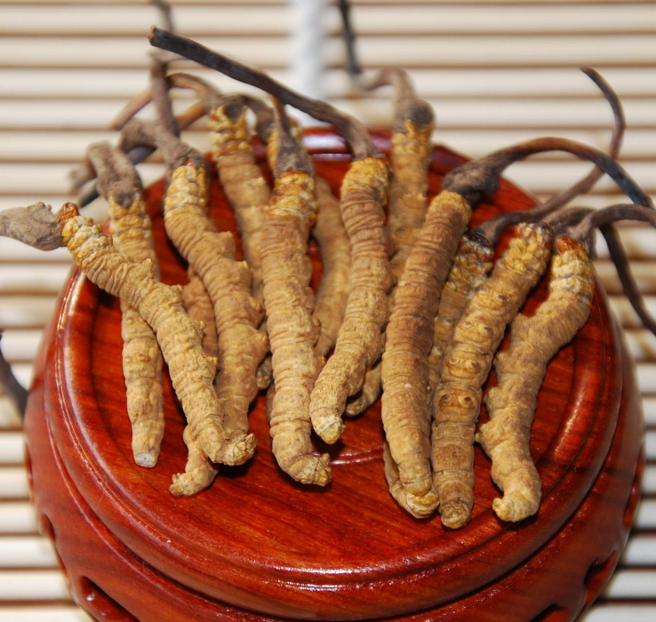 龙华虫草回收多少钱