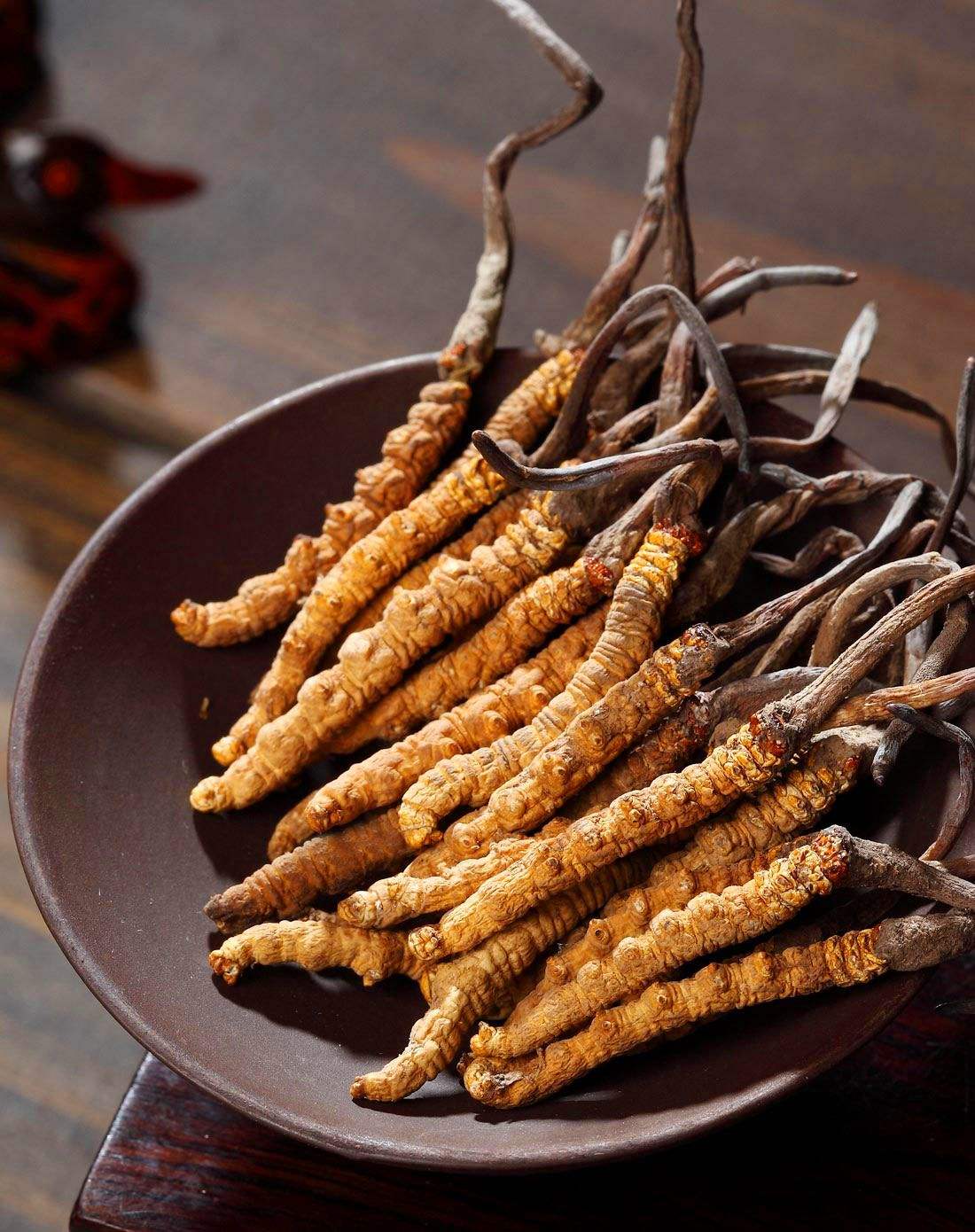 深圳回收冬虫夏草